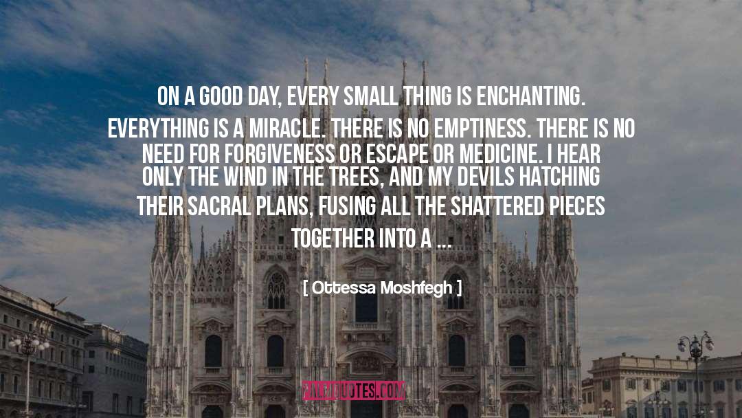 Shattered Pieces quotes by Ottessa Moshfegh