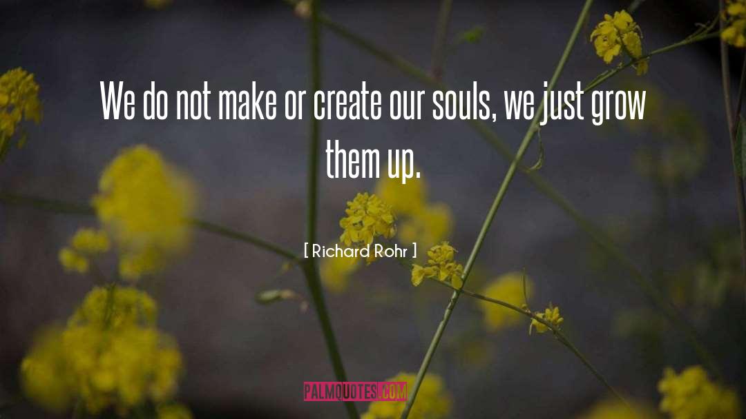 Shattered Souls quotes by Richard Rohr
