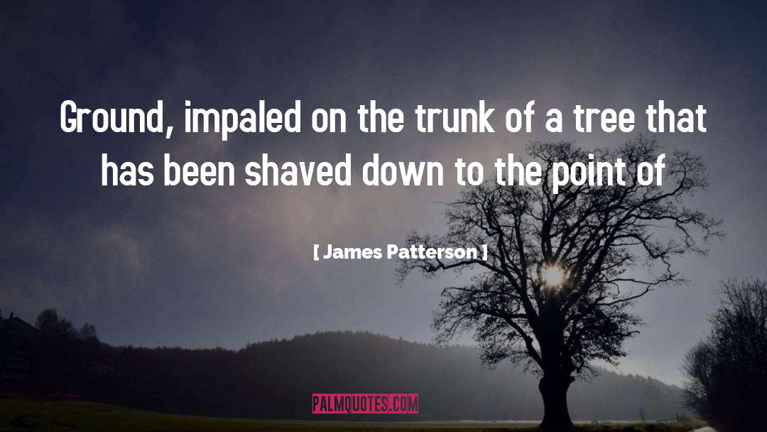 Shaved quotes by James Patterson