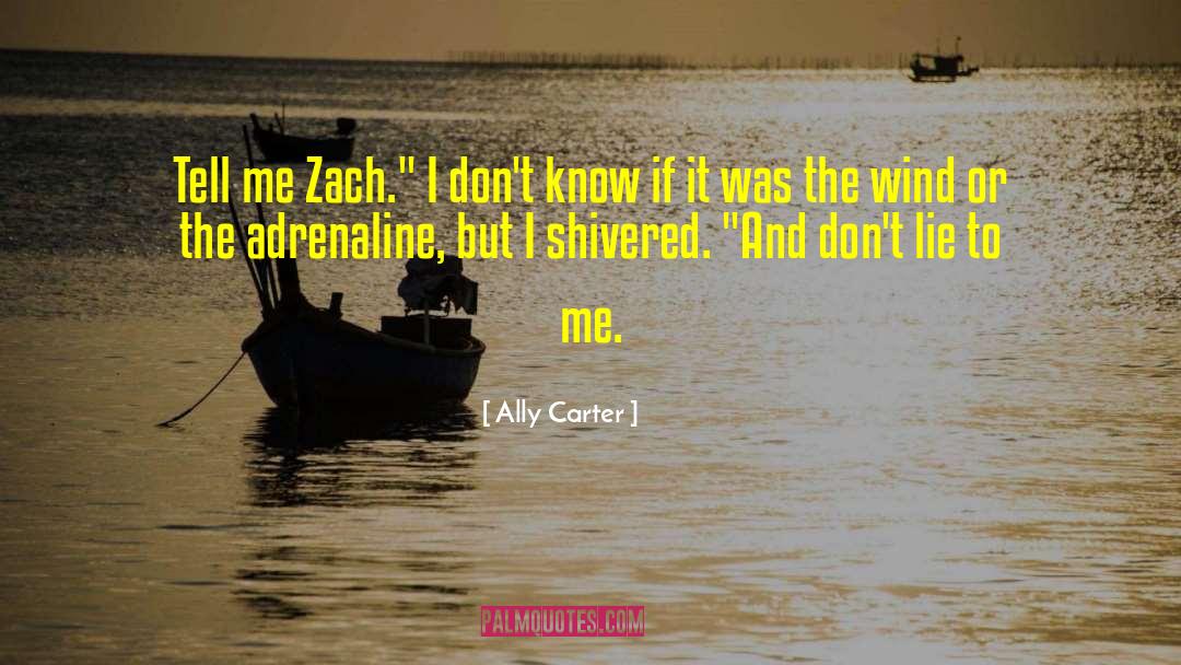 Shawn Gallagher quotes by Ally Carter