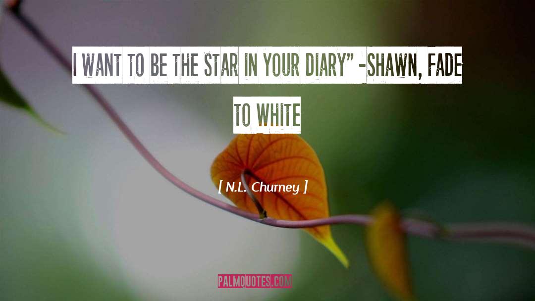 Shawn Gallagher quotes by N.L. Churney