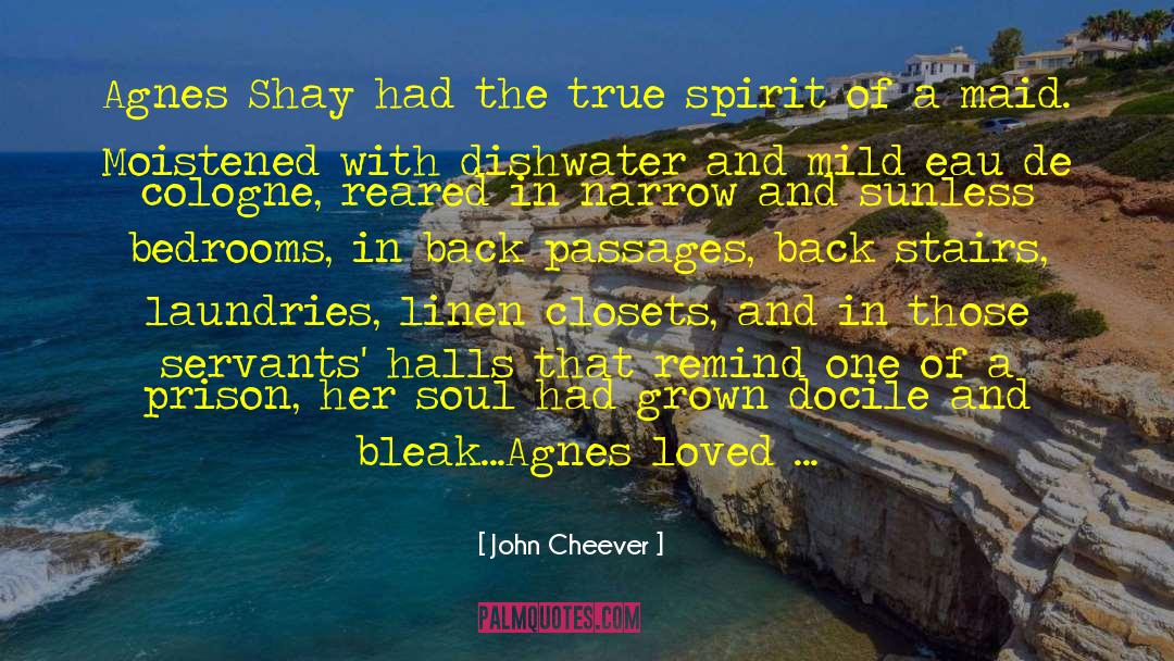 Shay quotes by John Cheever