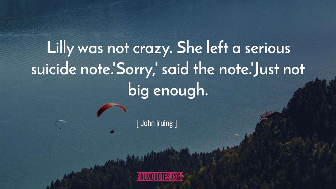 She Left quotes by John Irving