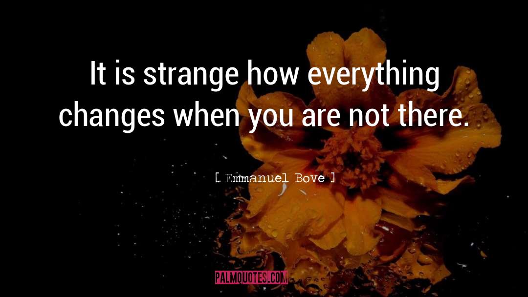 She S Not There quotes by Emmanuel Bove