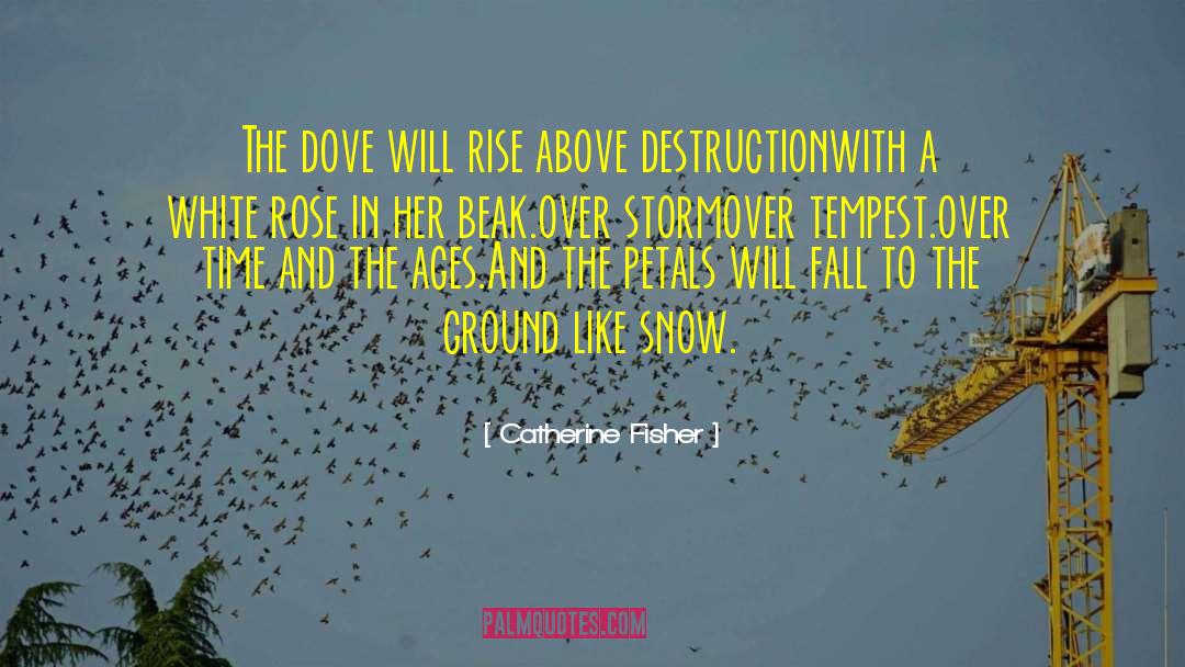 She Will Rise quotes by Catherine Fisher