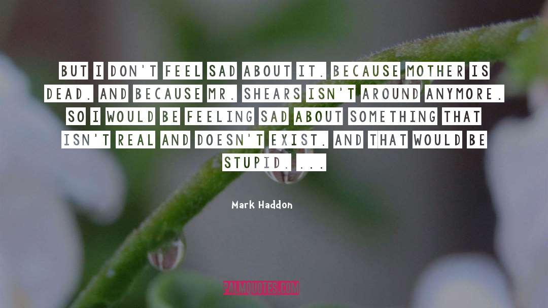 Shears quotes by Mark Haddon