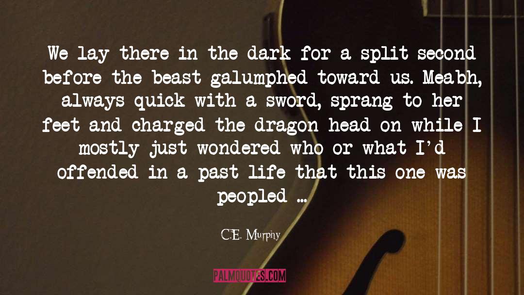 Sheath For A Sword quotes by C.E. Murphy