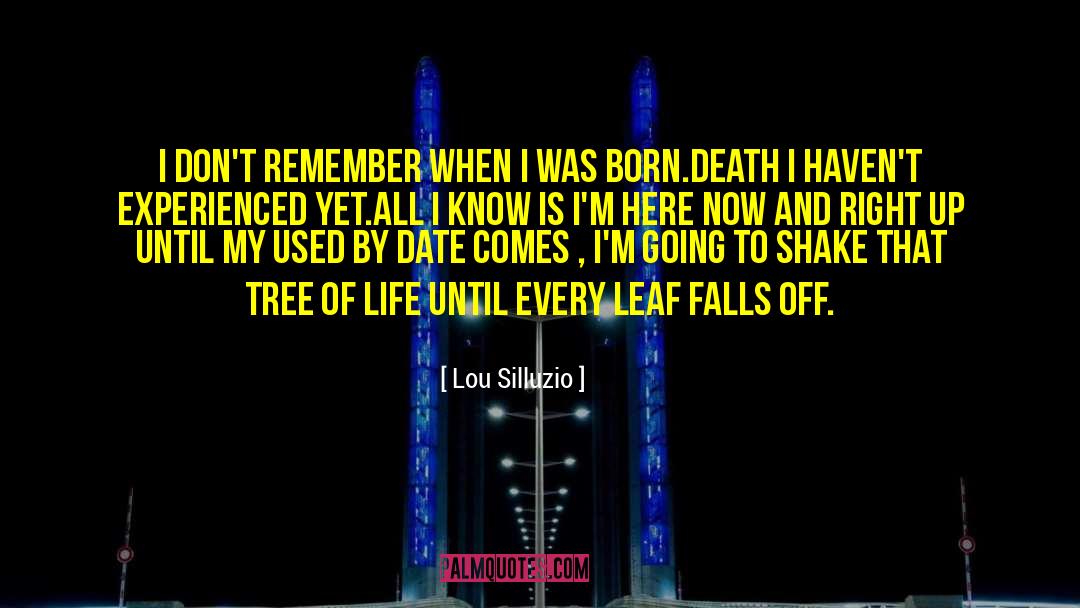 Shechtman Tree quotes by Lou Silluzio