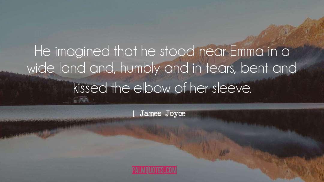 Shedding Tears quotes by James Joyce