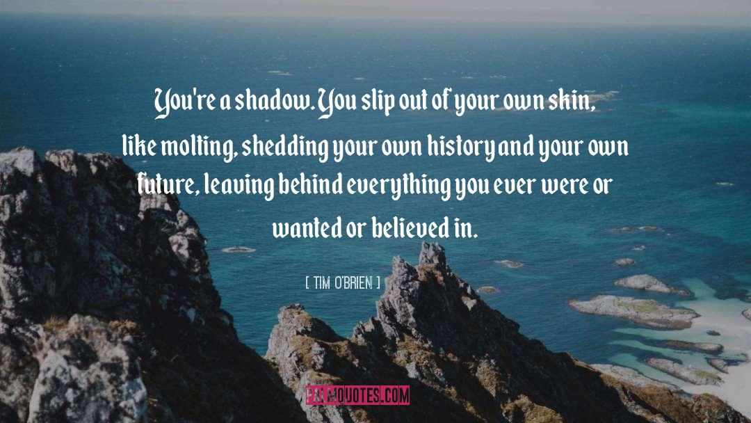 Shedding Your Skin quotes by Tim O'Brien