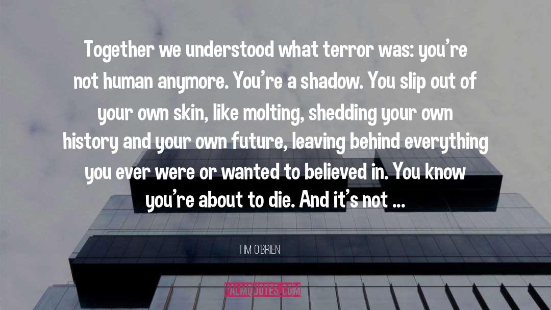 Shedding Your Skin quotes by Tim O'Brien