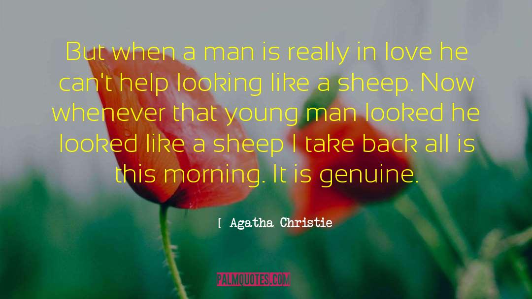 Sheep In A Fog quotes by Agatha Christie