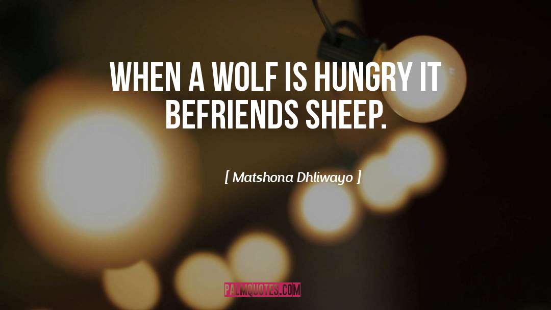 Sheep quotes by Matshona Dhliwayo