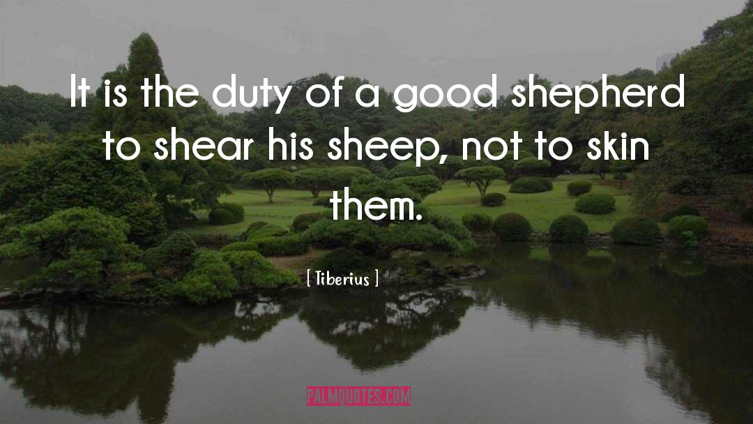 Sheep quotes by Tiberius