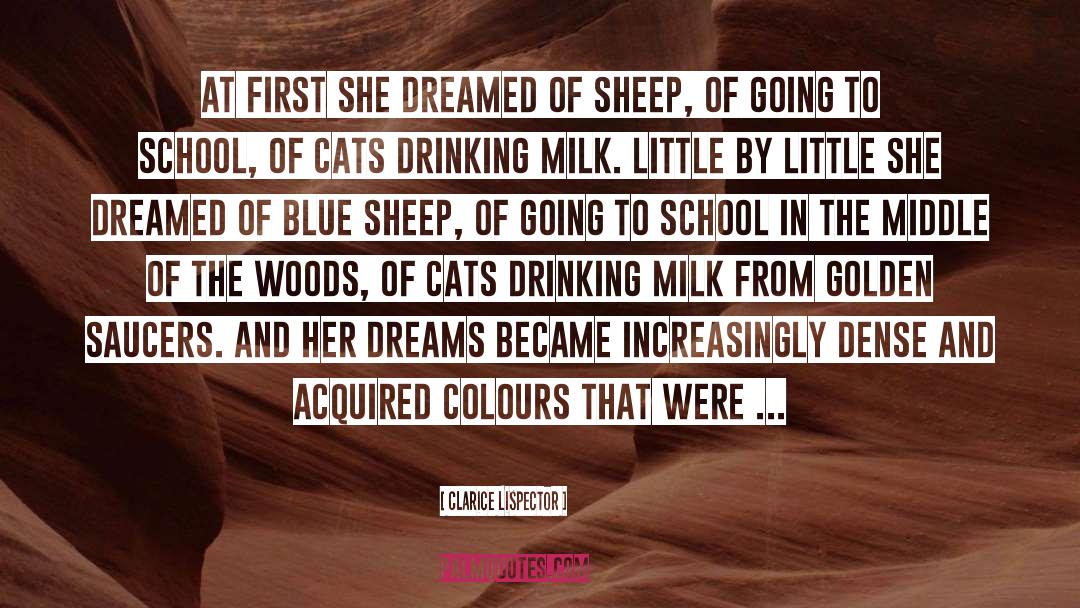 Sheep quotes by Clarice Lispector