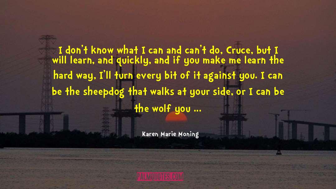 Sheepdog quotes by Karen Marie Moning