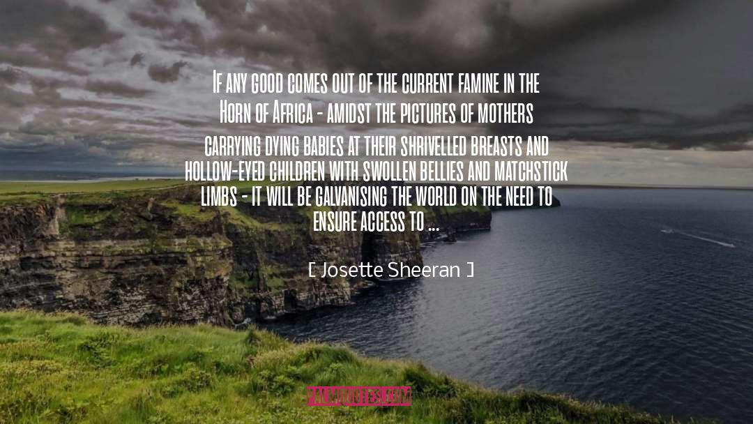 Sheeran quotes by Josette Sheeran
