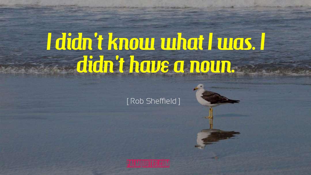 Sheffield quotes by Rob Sheffield