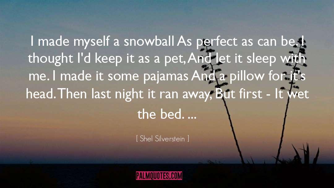 Shel quotes by Shel Silverstein