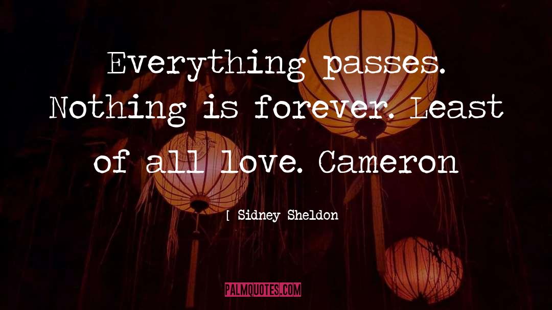 Sheldon quotes by Sidney Sheldon