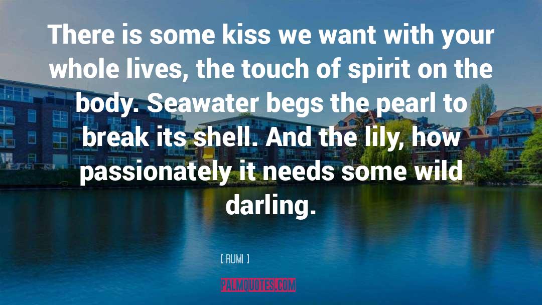 Shells And Love quotes by Rumi