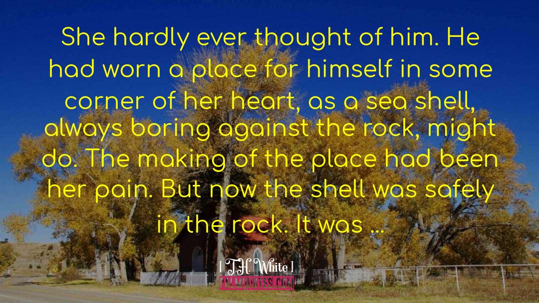 Shells And Love quotes by T.H. White