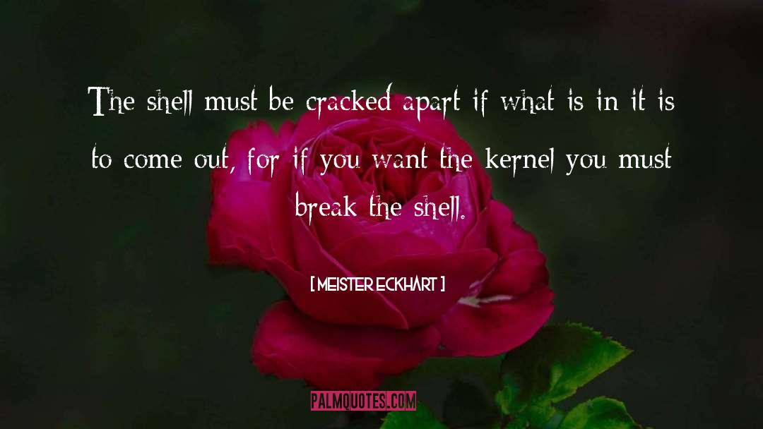 Shells quotes by Meister Eckhart