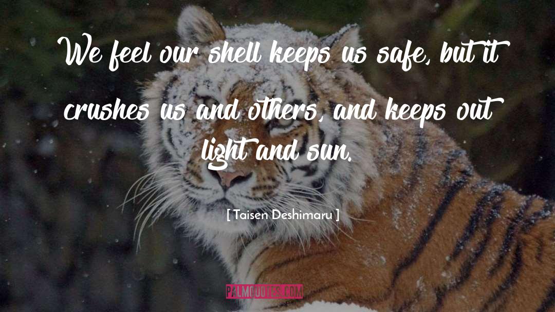 Shells quotes by Taisen Deshimaru