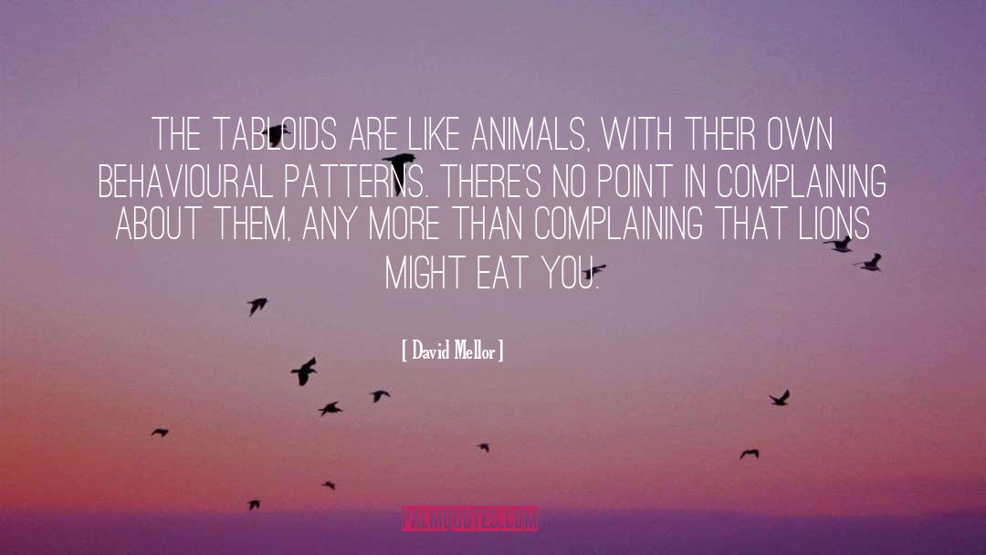 Shelter Animals quotes by David Mellor