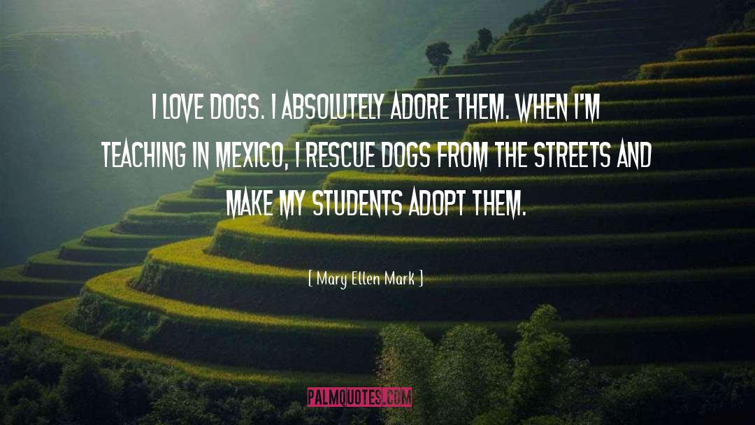 Shelter Dogs quotes by Mary Ellen Mark
