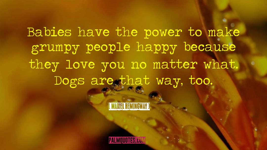 Shelter Dogs quotes by Mariel Hemingway