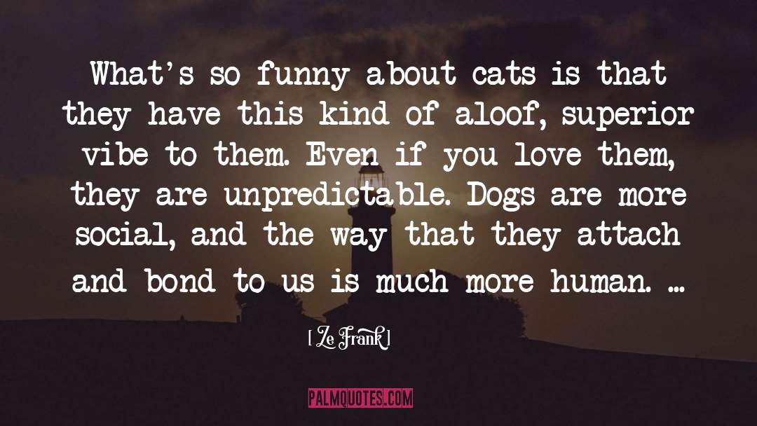 Shelter Dogs quotes by Ze Frank