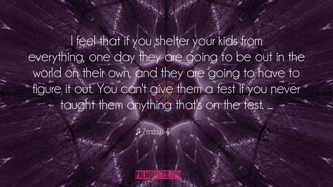 Shelter From The Storm quotes by Zendaya