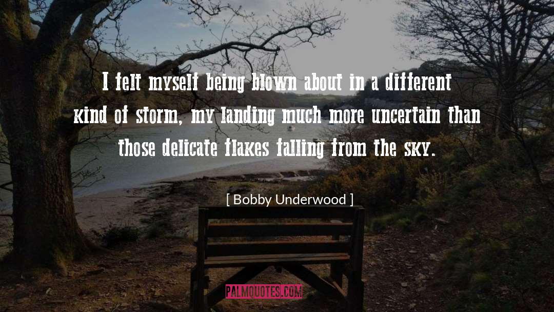 Shelter From The Storm quotes by Bobby Underwood