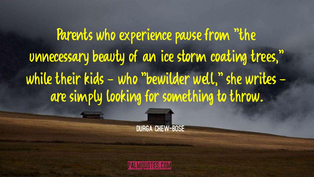 Shelter From The Storm quotes by Durga Chew-Bose