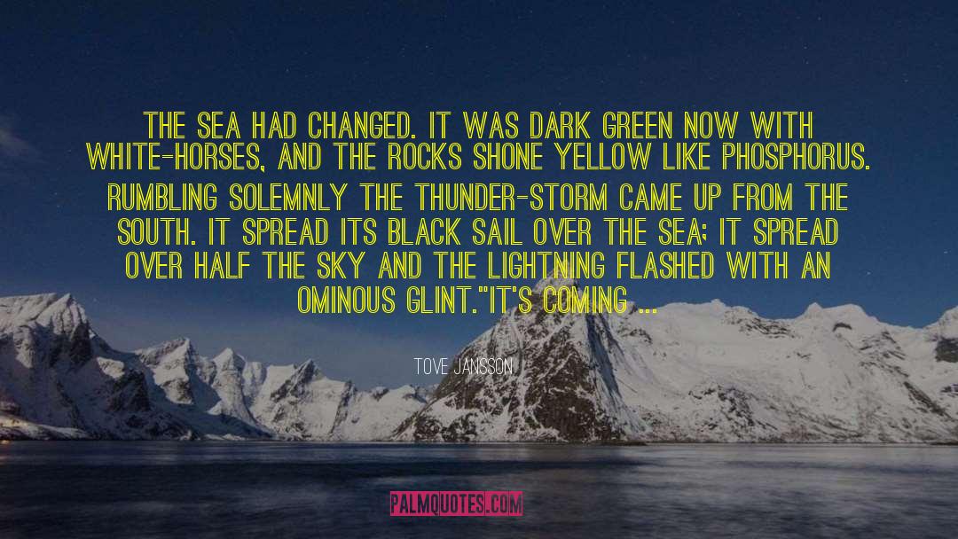 Shelter From The Storm quotes by Tove Jansson