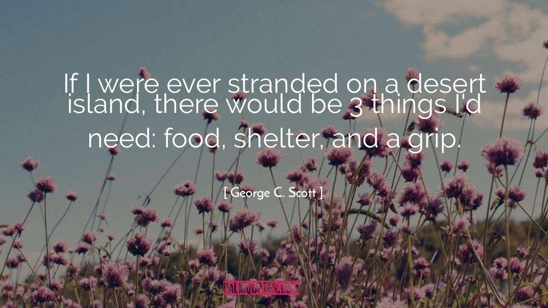 Shelter quotes by George C. Scott