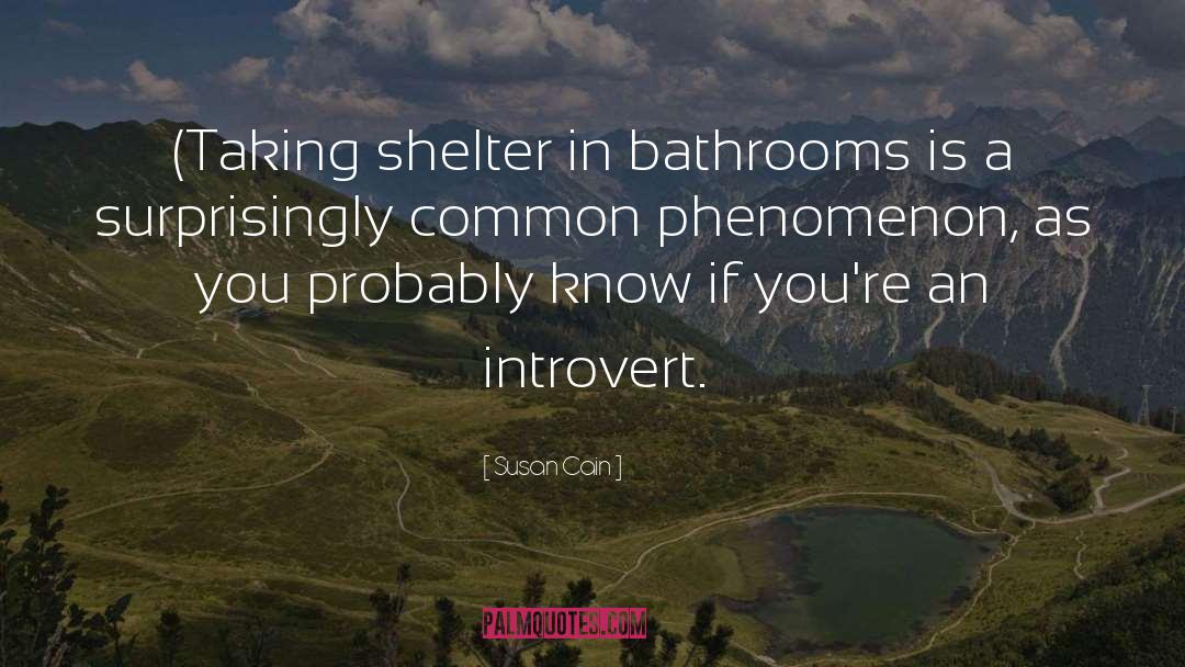 Shelter quotes by Susan Cain
