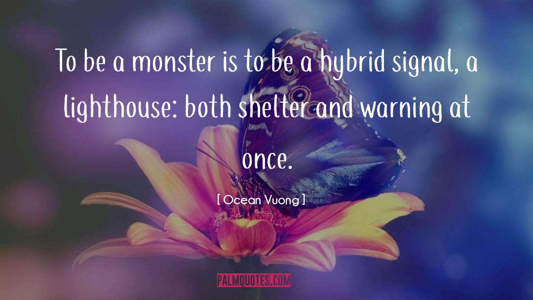 Shelter Somerset quotes by Ocean Vuong