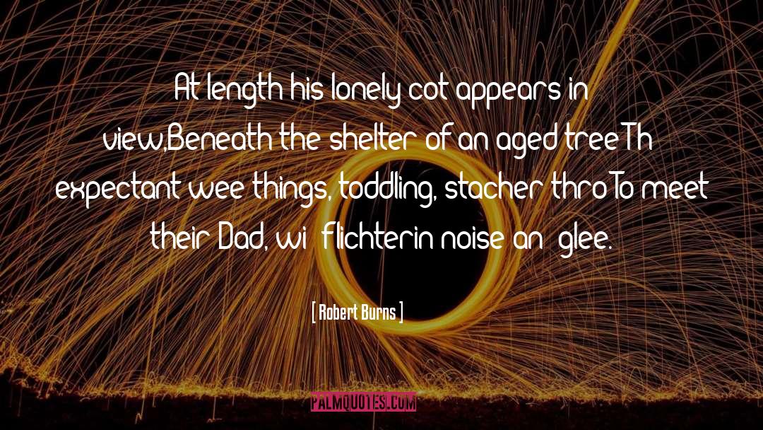 Shelter Somerset quotes by Robert Burns