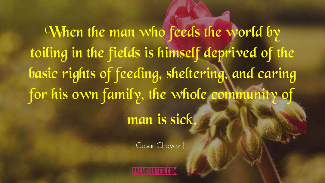Sheltering quotes by Cesar Chavez