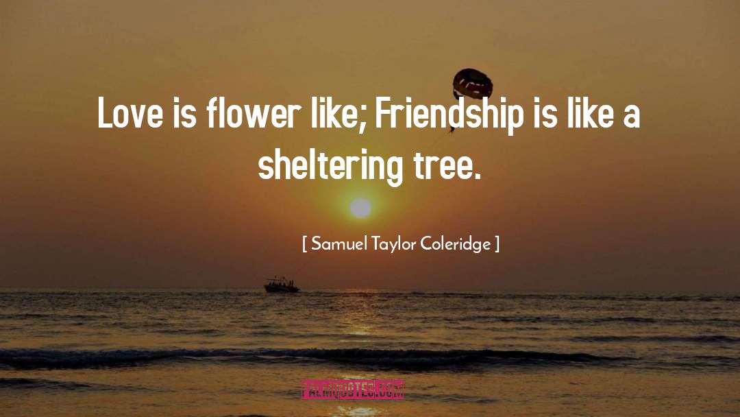 Sheltering quotes by Samuel Taylor Coleridge