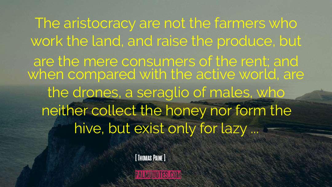 Shemanski Farmers quotes by Thomas Paine