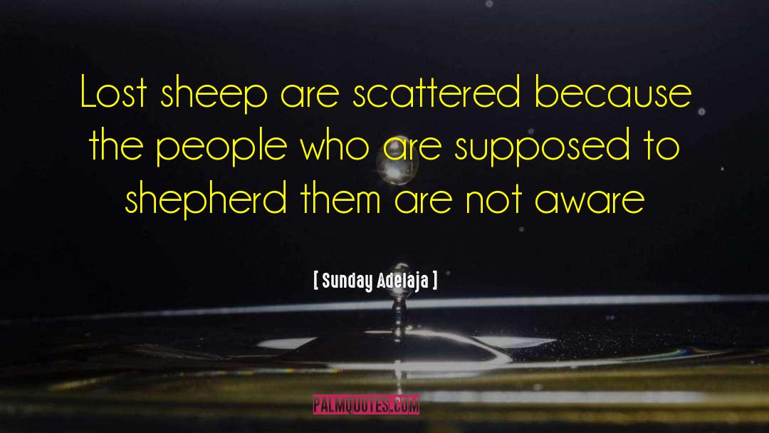 Shepherd quotes by Sunday Adelaja