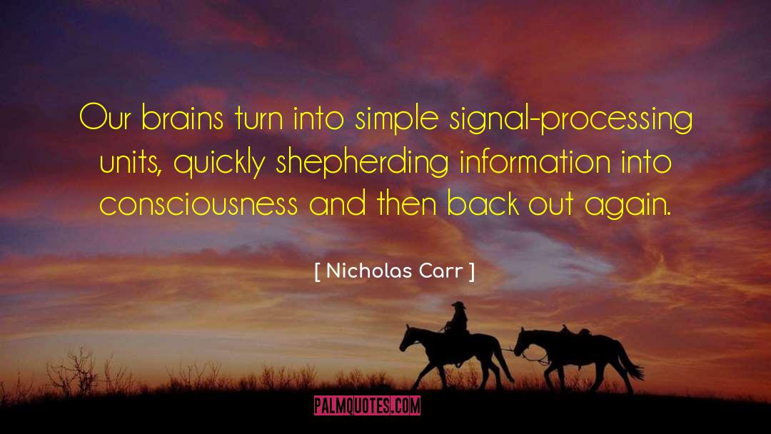 Shepherding quotes by Nicholas Carr