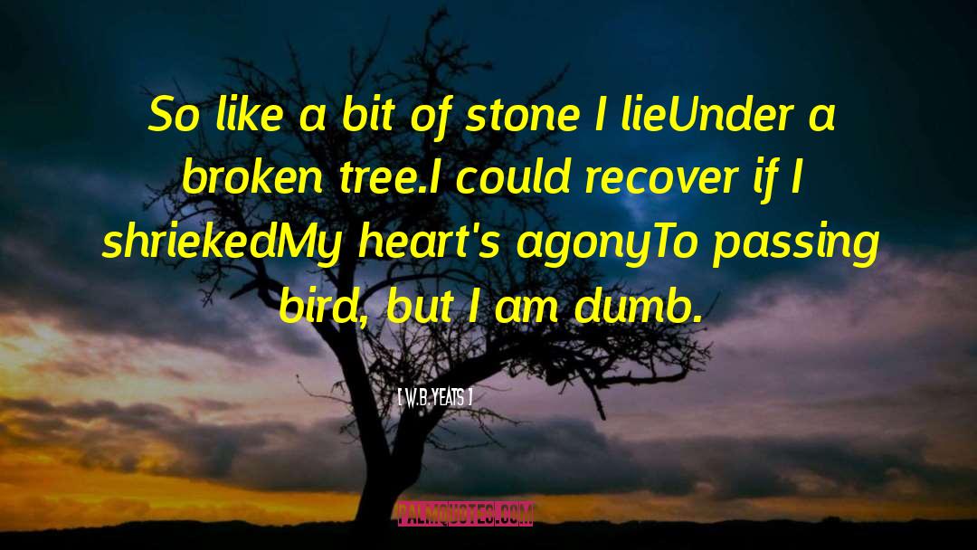 Shes So Broken quotes by W.B.Yeats