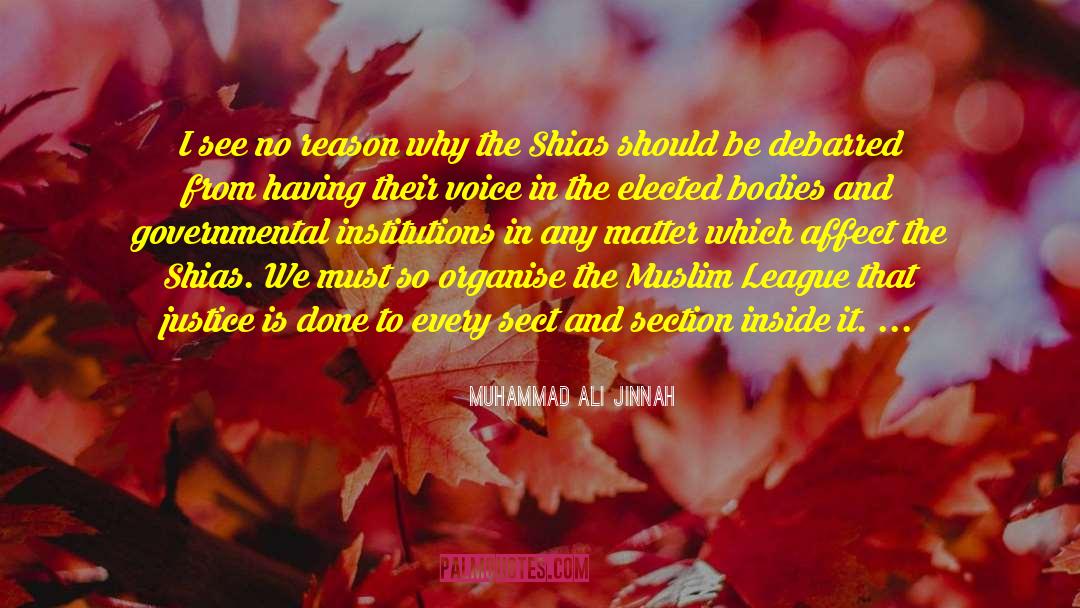 Shias Engin quotes by Muhammad Ali Jinnah