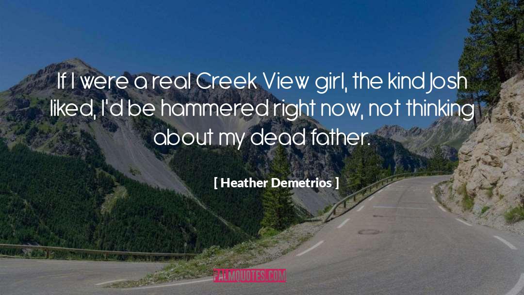 Shicks Creek quotes by Heather Demetrios