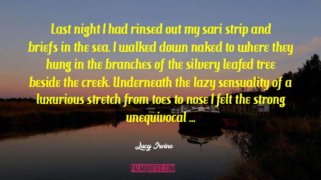 Shicks Creek quotes by Lucy Irvine