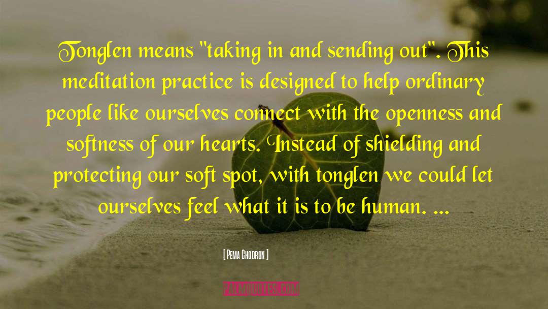 Shielding quotes by Pema Chodron